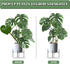 12 Pack 16 Inch 15 Joyhalo Plant Support Stakes, Plant Stakes for Outdoor Plants, Peony Cages and Supports, Peony Cage