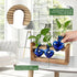 Plant Terrarium Propagation Stations Hydroponics Home Garden Decoration Gift for Women with Wooden Stand Heart Shaped