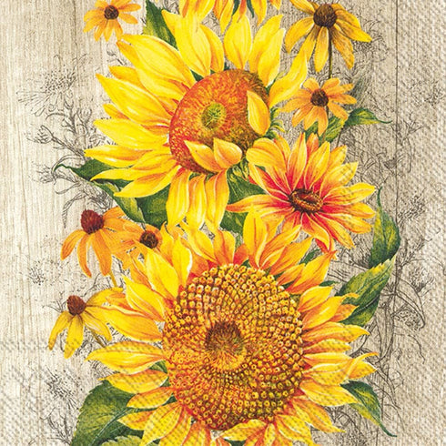 IHR Ideal Home Range Disposable Cocktail Napkins, 3-Ply Paper Party Napkin Pack, 5" x 5", Le Tournesol (Light Brown),