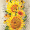 IHR Ideal Home Range Disposable Cocktail Napkins, 3-Ply Paper Party Napkin Pack, 5" x 5", Le Tournesol (Light Brown),