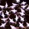 Ocean Theme White Beluga Whale Fairy String Lights, Nautical Dcor Cute Dolphin
