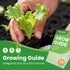 55 Pack 39,000+ (55 Vegetable Seeds Variety - Heirloom Seeds for Planting Vegetables and Fruits, Non-GMO Garden Seeds