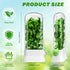 2 2-3 Baderke Pieces Herb Saver for Refrigerator Herb Keeper Herb Storage Containers Herb Saver Pod for Cilantro