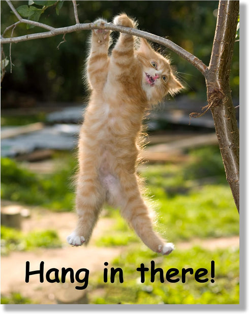 Hang in There Cat Poster, 11 x 14 Inch, Premium Cardstock, Funny Motivational Decor for Home or Office