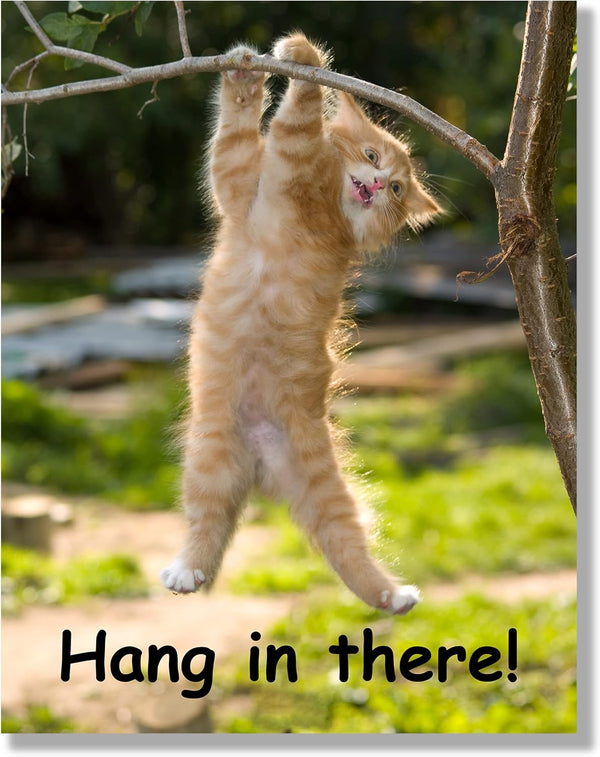 Hang in There Cat Poster, 11 x 14 Inch, Premium Cardstock, Funny Motivational Decor for Home or Office