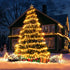 KOUQIYA 2 Pack, C6 50 8 Battery Christmas Lights LED Strawberry Battery Operated String Lights with Auto-Timer Modes
