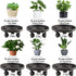 Tulpeed 5 Pack 13 Inch Rolling Plant Stand with Wheels Plant Caddy with Wheels Heavy Duty Plant Dolly Roller Base