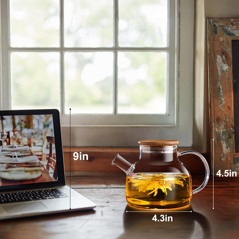 PARACITY 20 OZ Glass Teapot Stovetop, Borosilicate Clear Tea Kettle with Bamboo Lid and Removable Filter Spout