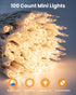 Set 100 Count 20 Bulb Minetom Clear Christmas Lights Feet Incandescent Mini String Lights for Indoor Christmas Tree