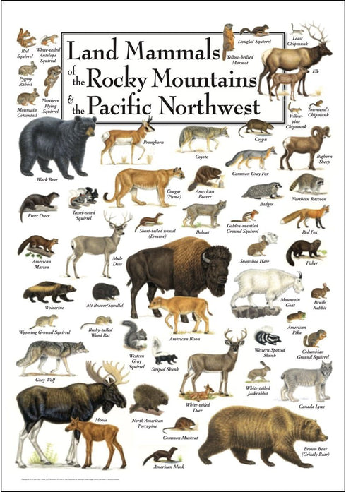 Earth Sky + Water Poster, Land Mammals of the Rocky Mountains & Pacific Northwest