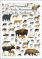 Earth Sky + Water Poster, Land Mammals of the Rocky Mountains & Pacific Northwest