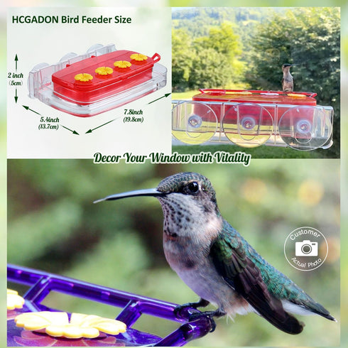 Window Hummingbird Feeder with Strong Suction Cup, Plastic Feeders for Outdoors, Easy to Clean and Refill