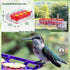 Window Hummingbird Feeder with Strong Suction Cup, Plastic Feeders for Outdoors, Easy to Clean and Refill
