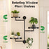 3-Tier YQSLYSF Window Rotating Plant Stand Shelf Indoor Black Metal Floating Shelves Wall Mount Plant Holders