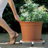 14in 21inch 4 500 Lbs, Plant Caddy With Wheels, Adjustable to Heavy Duty Rolling Plant Dolly, Metal Plant Stand