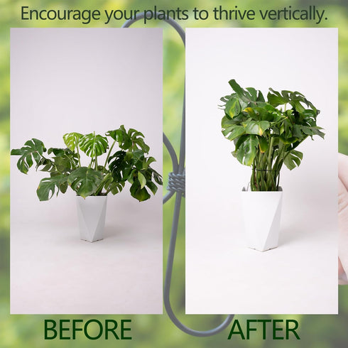 6.5 6.5IN -5 Set, Yohsnor Black Monstera Plant Support Hook - * Piece Durable Metal Stem Supports for Indoor Plants