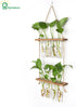 Hyindoor 2 8 Wall Hanging Planter Terrarium Tired Test Tube Vase Glass Planter Plant Propagation Station Plant Hangers