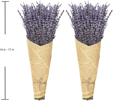 Timoo Dried Lavender Bundles, 100 Natural Flowers for Home Decoration, Photo Props, 2 Bundles Pack