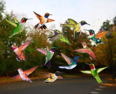 Anti-Collision Window Clings Bird Alert Decals to Prevent Bird Strikes on Glass - Set of 12 Hummingbirds