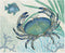 Cut N' Funnel Oceana Designer Flexible Plastic Cutting Board Mat, 15" x 11.5", Easy to Clean
