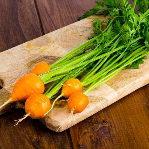 1000+ Count Premium Round Baby Parisian Carrot Seeds - for Gourmet Gardening