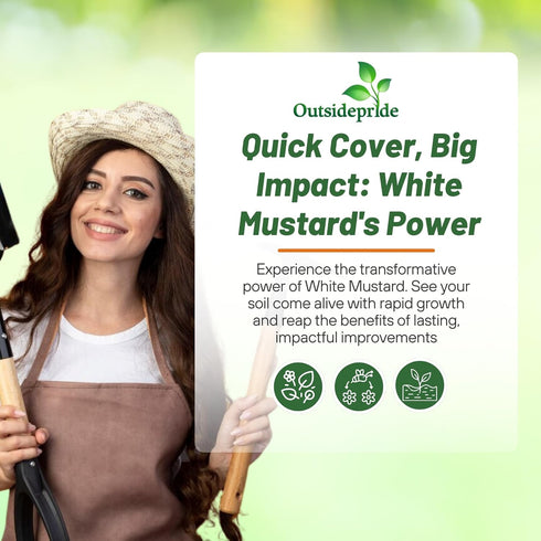 5 lb Outsidepride White Mustard Seeds for Planting - Annual Cover Crop Seeds w/Deep Root System, High Protein Forage