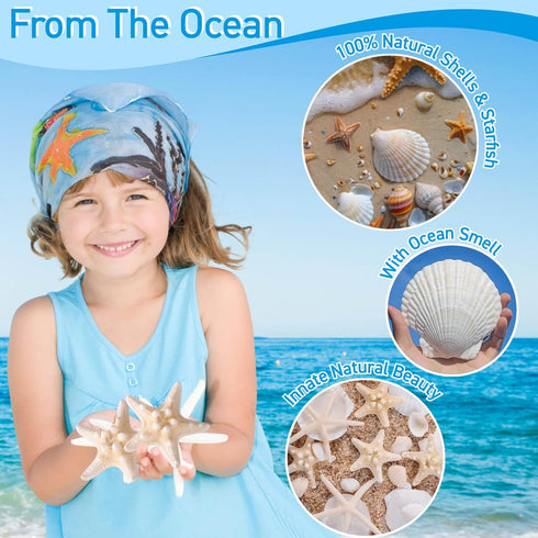 Egcina 24PCS Sea Shells for Crafts Decoration, Real White Natural Scallop Shells and Starfish for DIY Projects