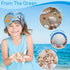 Egcina 24PCS Sea Shells for Crafts Decoration, Real White Natural Scallop Shells and Starfish for DIY Projects
