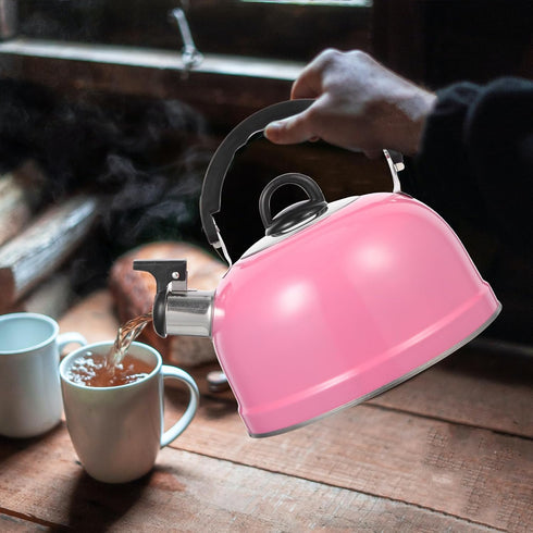 MAGICLULU Whistling Kettle, Mini Tea Kettle for Stovetop, Spherical Stainless Steel Teapot with Sound Pot