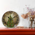 Wamika Christmas Tree Wall Clock, Silent Non Ticking Round Decorative Clock, 10 Inch Battery Operated