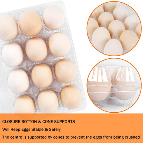 ZHIGLMYD 100 Pack 12 Count Dozen Plastic Egg Cartons - Bulk Cheap Clear Reusable Egg Containers for Chicken Eggs, Egg