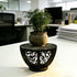 Indoor Wooden Plant Stand Holder for Sill, Desktop, - Single Flower Pot Rack for Small Plants - Unique Tree Root Design