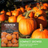 (5 Packs) Small Sugar Pumpkin Seeds for Planting Heirloom Sugar Pie Pumpkins, Sweet Baking Variety for Home Gardens