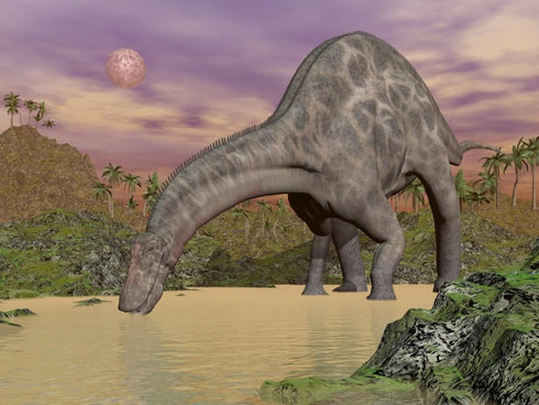Posterazzi Large Dicraeosaurus dinosaur drinking water in a prehistoric landscape at night Poster Print, (16 x 12)