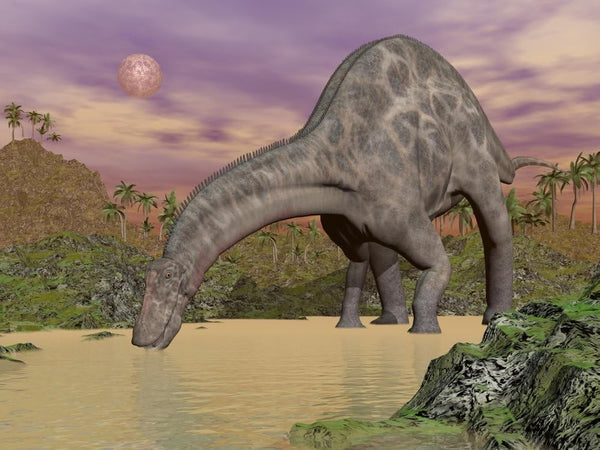 Posterazzi Large Dicraeosaurus dinosaur drinking water in a prehistoric landscape at night Poster Print, (16 x 12)