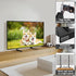TAVR Furniture 27 30 32 37 40 43 47 50 55 60 65 Inch 88 lbs, 800x500mm TAVR Universal Table Top TV Stand Mount for LCD