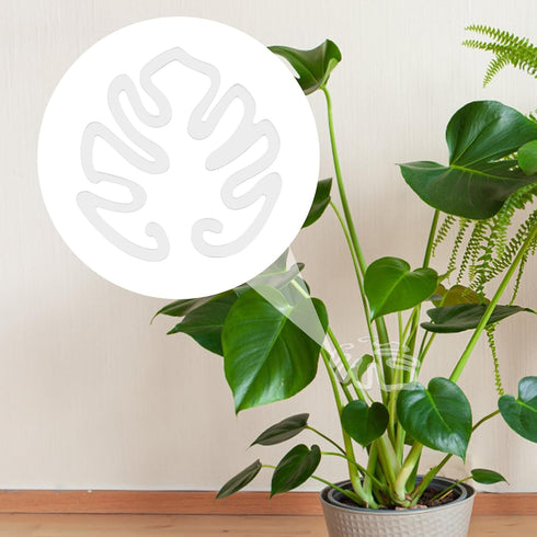 PEUTIER Monstera Shaped Plant Stand, Acrylic Flower Shape Plant Support Stakes Plant Growth Accessories for Indoor