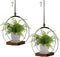hismocal Hanging Planter for Indoor Plants,Plant Hanger with Sturdy Wood Base &