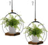 hismocal Hanging Planter for Indoor Plants,Plant Hanger with Sturdy Wood Base &