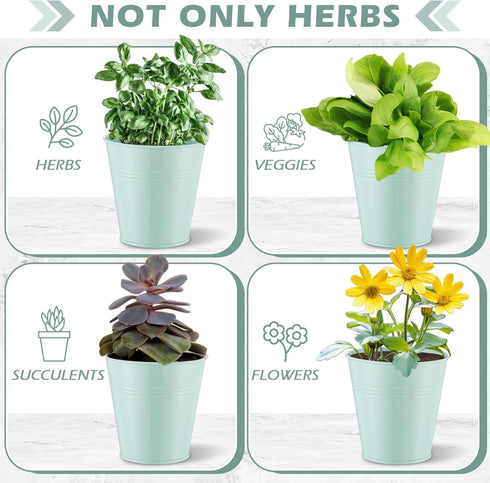 2 Sets Set Wenqik Herb Garden Planter Pot with Tray Metal Windowsill Plant Pot with Drainage Farmhouse Decorative Live