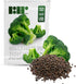 250 29 Broccoli Seeds for Planting Waltham - Heirloom Non-GMO USA Grown - Broccoli Sprouts Microgreens Seeds