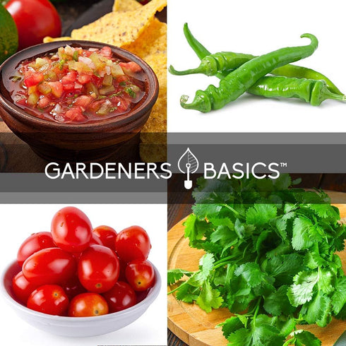 Packets, 5 Gardeners Basics, Heirloom Salsa Growing Seed Roma VF Tomato, Jalapeno, Cilantro, Anaheim and Onion Seeds