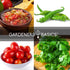 Packets, 5 Gardeners Basics, Heirloom Salsa Growing Seed Roma VF Tomato, Jalapeno, Cilantro, Anaheim and Onion Seeds