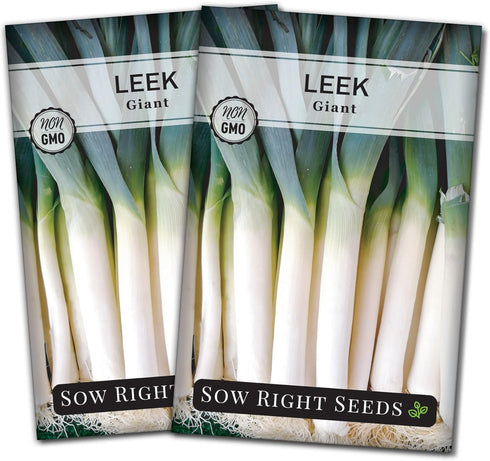 Sow Right Seeds - Giant Leek Seeds for Planting - Non-GMO Heirloom