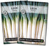 Sow Right Seeds - Giant Leek Seeds for Planting - Non-GMO Heirloom