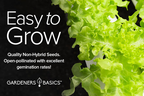 5 Pack Gardeners Basics, Hydroponic Seeds for Planting Planting Indoors and Outdoor Variety - Tatsoi, Kale