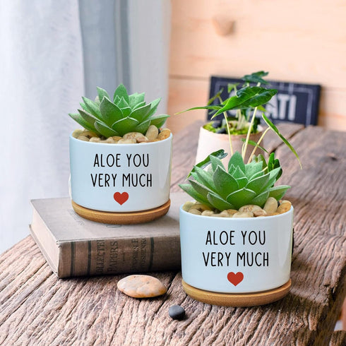 You Very Much - White Ceramic Engraved Mini Succulent Planter Pot | Funny Indoor Flower Pots for Home Office Windowsill