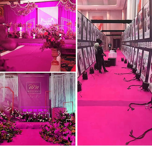 Aisle Runners Wedding Accessories - Rose Aisle Runner Carpet Rugs for Ceremony Parties and Events, 24 Inch x 15 Feet