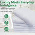 12 Pack 15X25 100% Towels N More Hand Towels - White Soft Cotton Ring Spun Loops - Highly Absorbent and Quick Drying