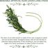 WILLBOND 8 Bundles Faux Olive Branches, 43 Inch Tall Greenery Stems for Vases, Fake Plant for Floral Arrangement